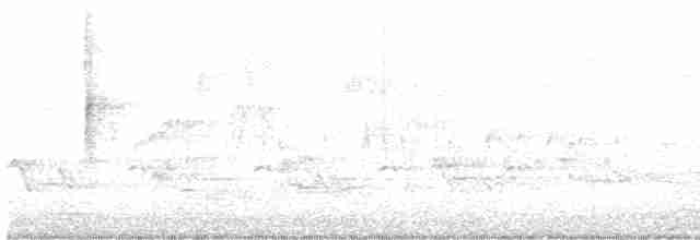 Yellow-rumped Warbler - ML618072101