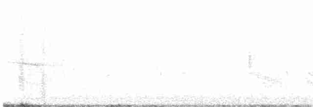 Amerika Çütresi (purpureus) - ML618072160
