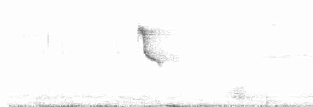 Luzonbrillenvogel - ML618072716