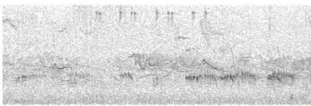 Мангровая белоглазка - ML618073034
