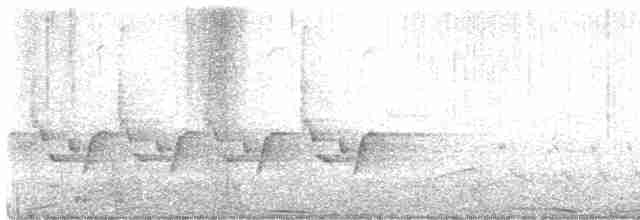 střízlík karolínský [skupina ludovicianus] - ML618074236