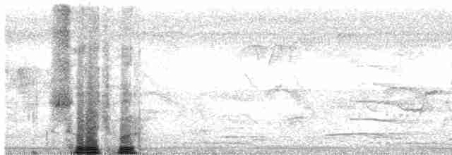 Blyth's Reed Warbler - ML618074586