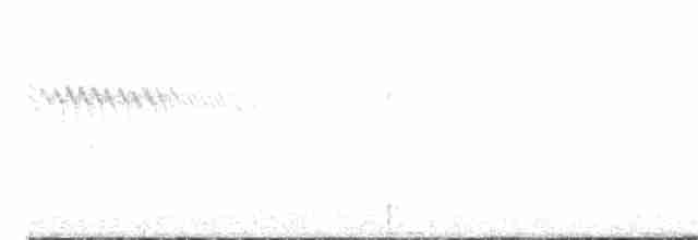 Омелюх звичайний - ML618075255