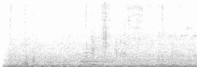 Weißbrustkleiber (carolinensis) - ML618075427