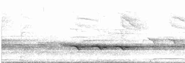 Ak Tepeli Baştankara - ML618075552