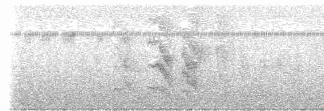 Turuncu Gagalı Yedikardeş - ML618075576