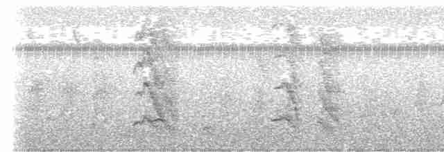 Turuncu Gagalı Yedikardeş - ML618075577