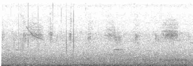 Manchurian Reed Warbler - ML618075694