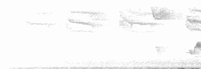 Kara Kanatlı Piranga - ML618076232