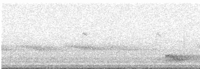 Yellow-crowned Night Heron - ML618076269