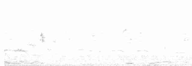 Guêpier de Perse - ML618076901