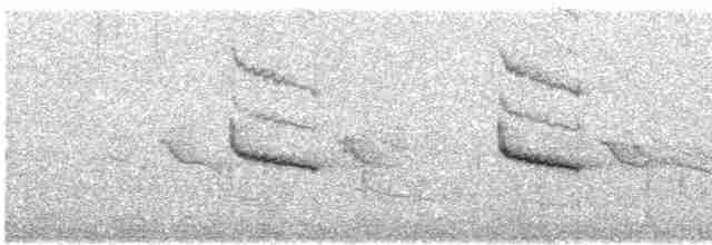 Мангровая белоглазка - ML618076986