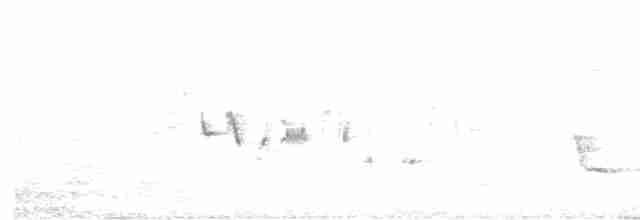Кропив'янка сіра - ML618077341