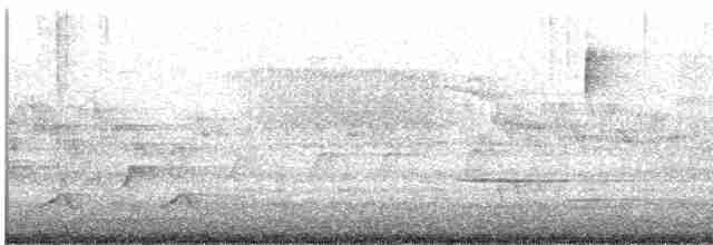 Миртовый певун (coronata) - ML618077642