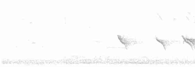Evening Grosbeak (type 1) - ML618077686
