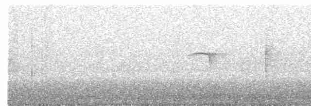 Collared Flycatcher - ML618077805