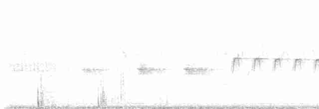 Тауї плямистий - ML618078298