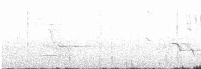 Eastern Meadowlark (Cuban) - ML618078519