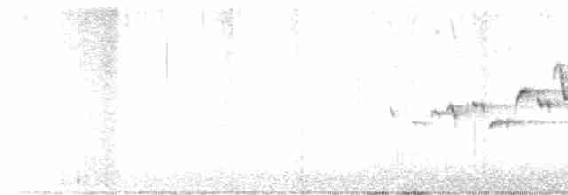 střízlík kanadský - ML618078846