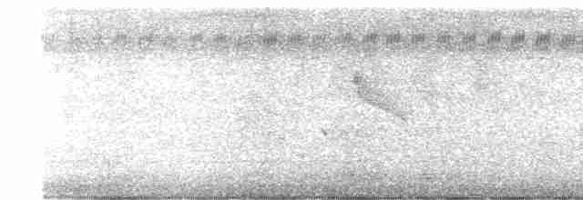 Arctic Warbler - ML618079191