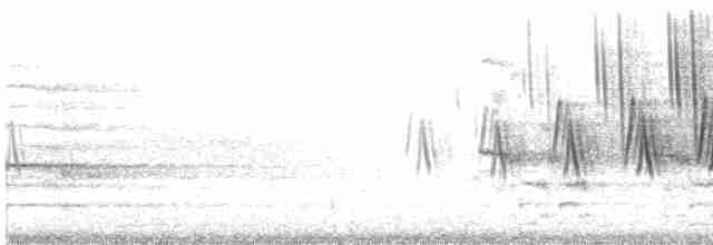 Дроздовый певун - ML618079199
