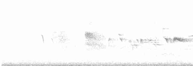 Пересмішник сірий - ML618079269
