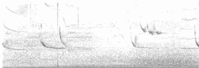 vlhovec červenokřídlý - ML618081232