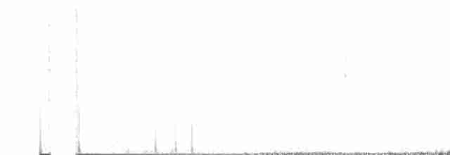 Yellow-rumped Warbler - ML618081906