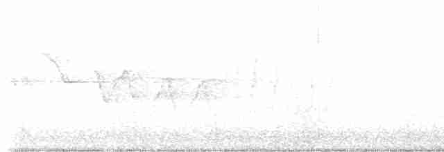 Трясогузковый певун - ML618082283