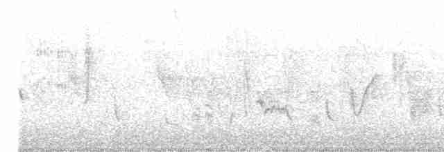 Gartengrasmücke - ML618084481