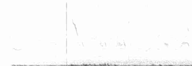 דוחל חום-גרון - ML618085556
