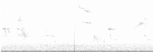 Пересмішник сірий - ML618086061