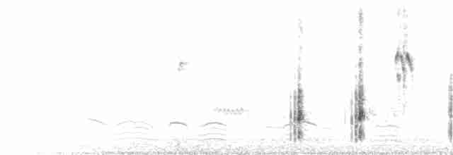 Great Reed Warbler - ML618086958