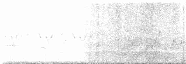 Ивовый мухолов - ML618087152
