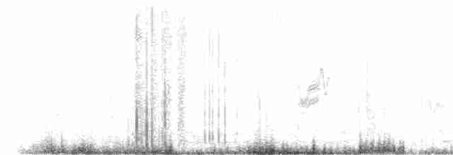 Savannennachtschwalbe - ML618087548