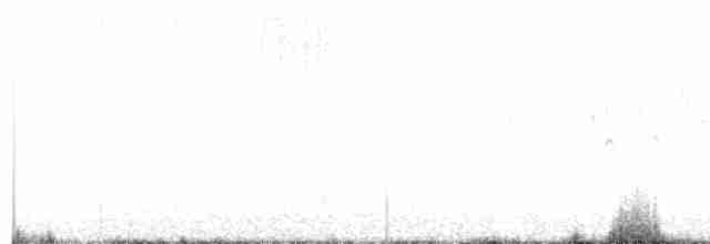 lesňáček černobílý - ML618087624