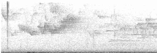Cerulean Warbler - ML618088444