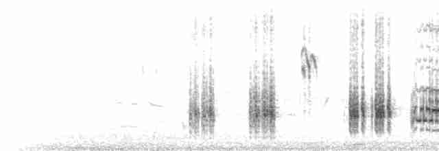 Great Reed Warbler - ML618088683