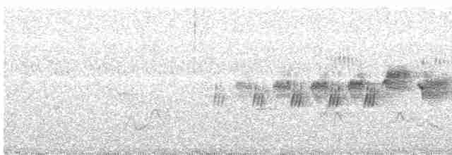 Black-throated Gray Warbler - ML618089383