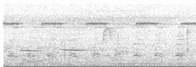 Striped Cuckoo - ML618091209
