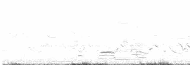 Al Kanatlı Karatavuk [phoeniceus grubu] - ML618091466