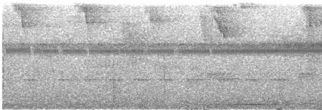 holub bledoprsý - ML618091593