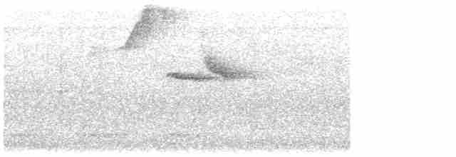 Brown-headed Cowbird - ML618092448