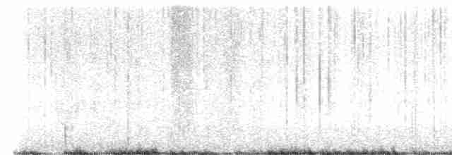 Weißbrustkleiber [lagunae-Gruppe] - ML618093332