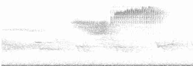 Голубокрылая червеедка - ML618093802