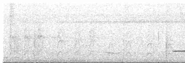 Little Tinamou - ML618094059