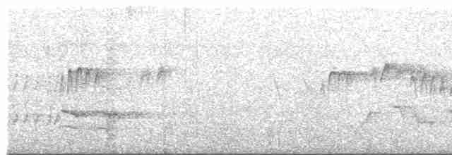 Мухолов-клинодзьоб північний - ML618094878