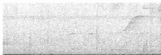 Ak Gözlü Küçük Tiran - ML618095218