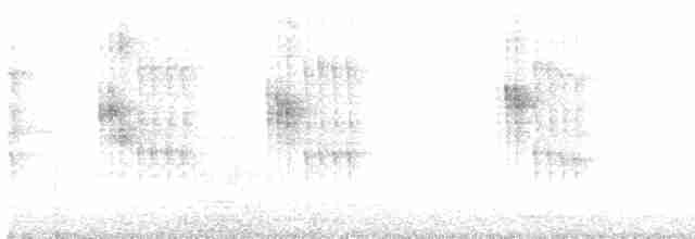 Stachelschwanzschlüpfer - ML618096170