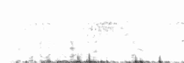 Щетинистая долгохвостка - ML618096811